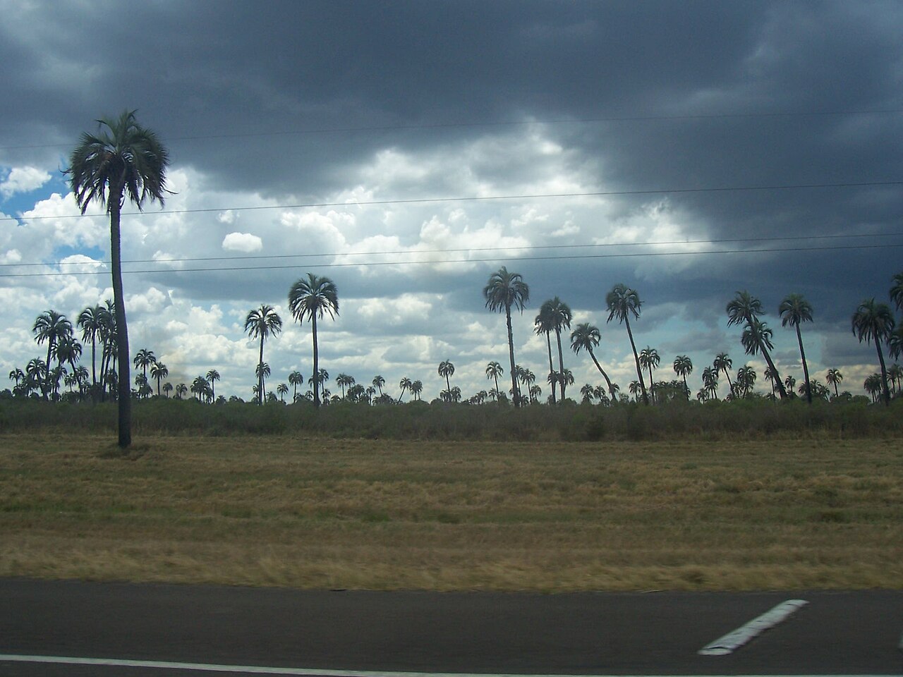 Mirador del Arroyo El Palmar