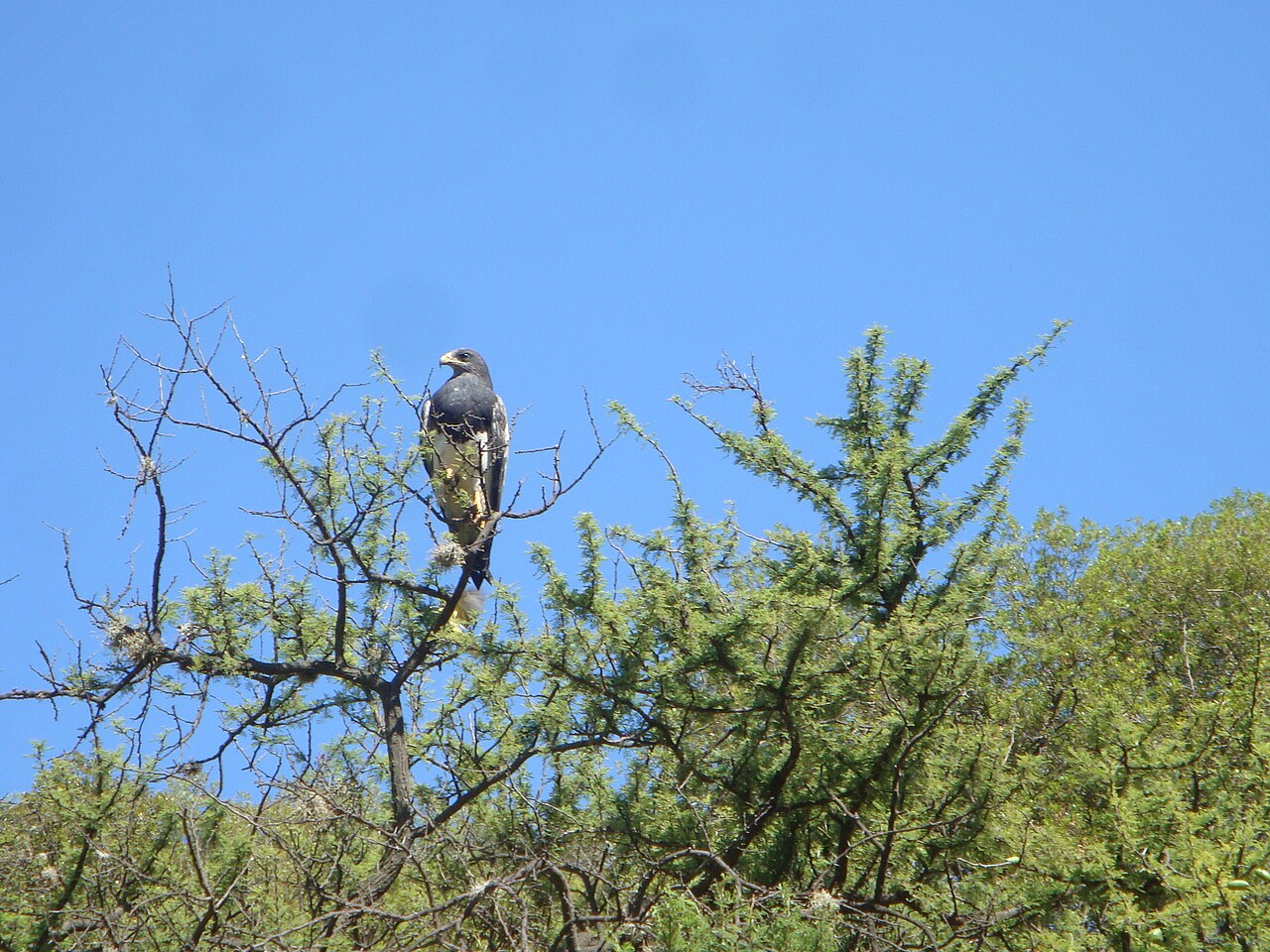 Reserva Natural Mogote Bayo