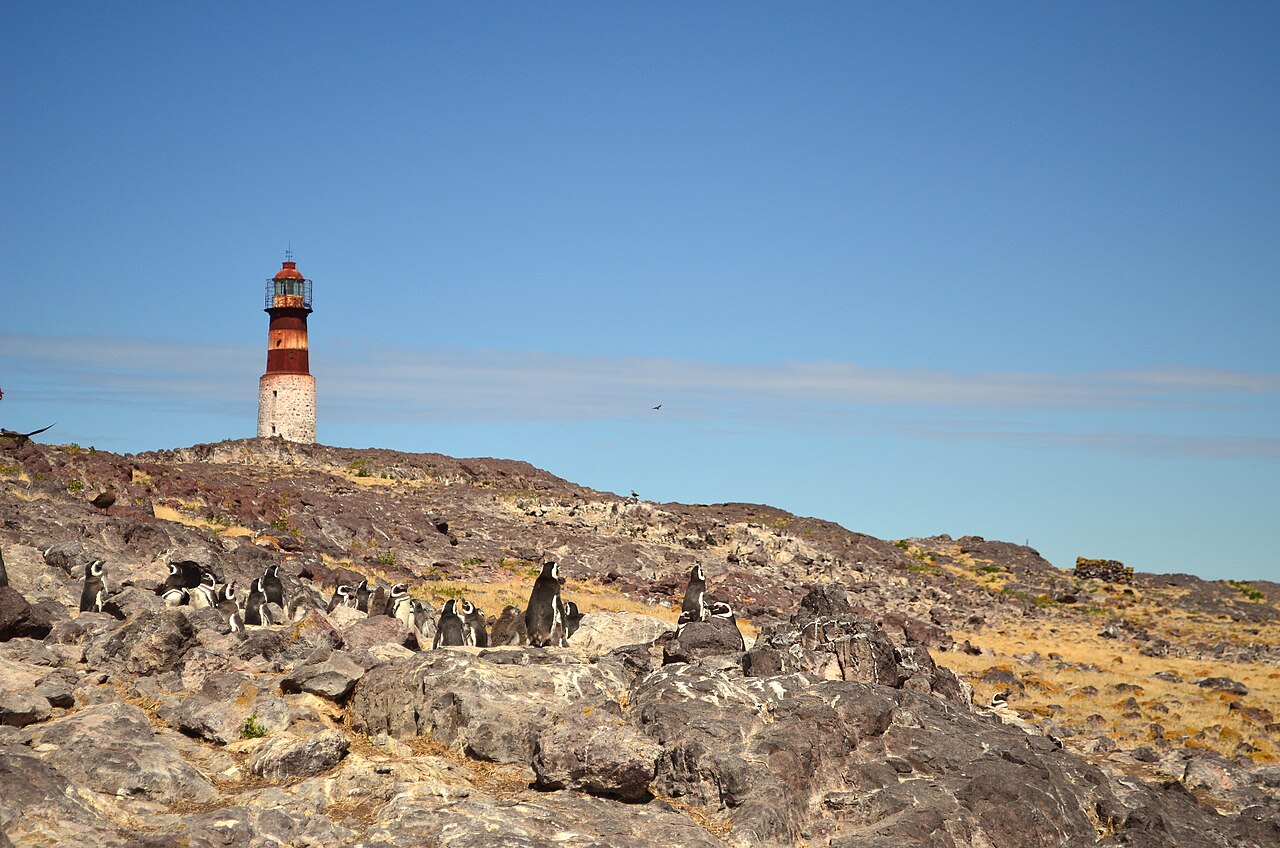 Isla Pingüino