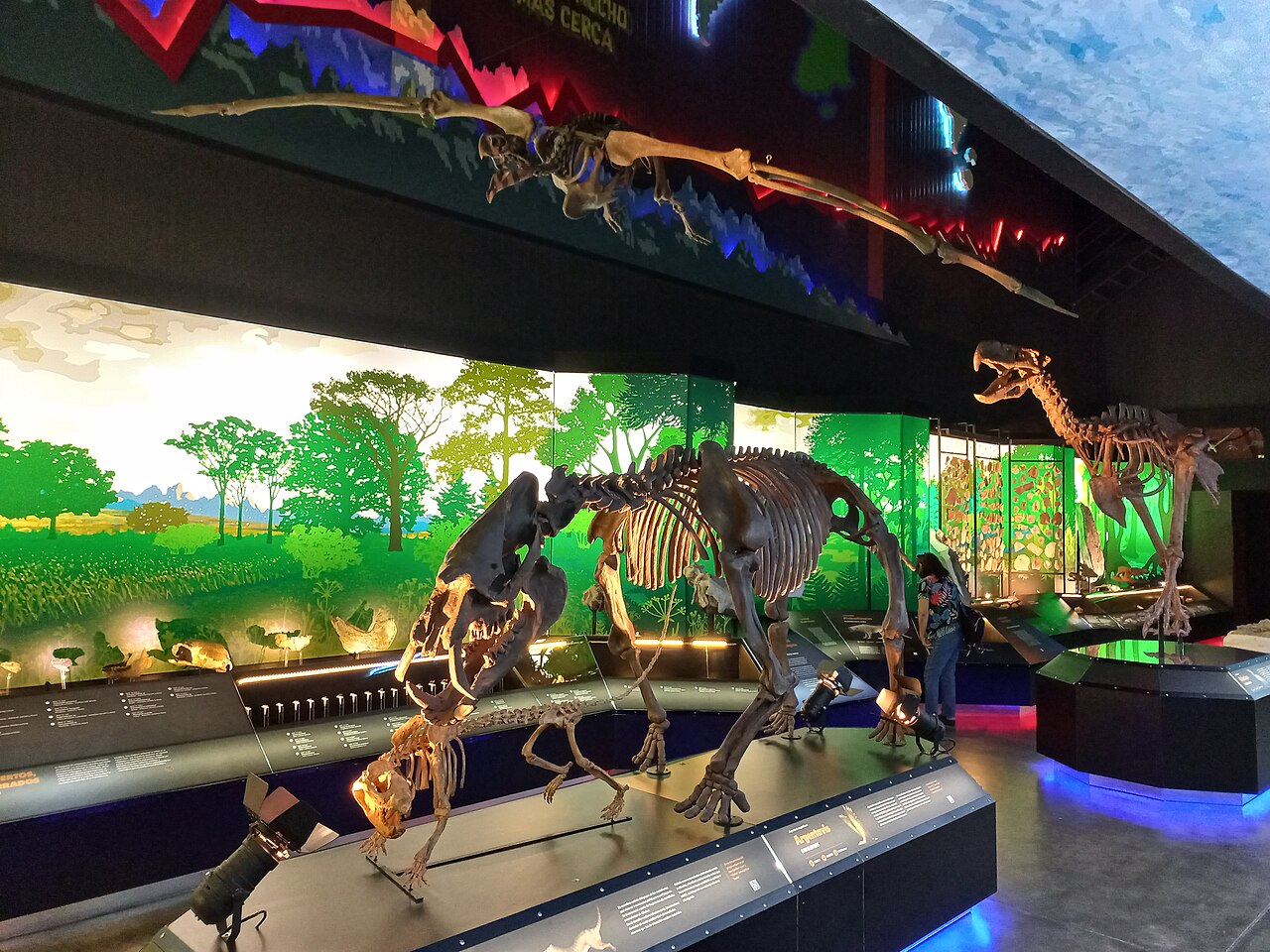 Muzeum Paleontologiczne Egidio Feruglio