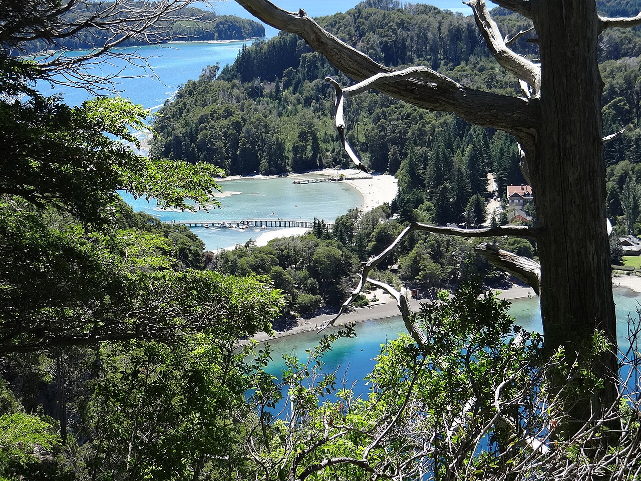 Bosque de Arrayanes
