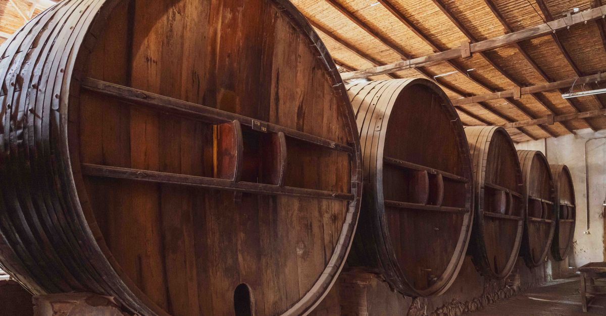 Bodegas San Juan