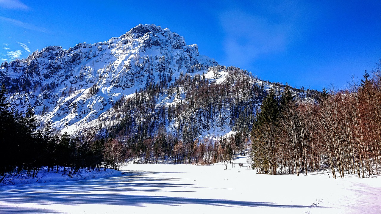 Grünberg i Laudachsee