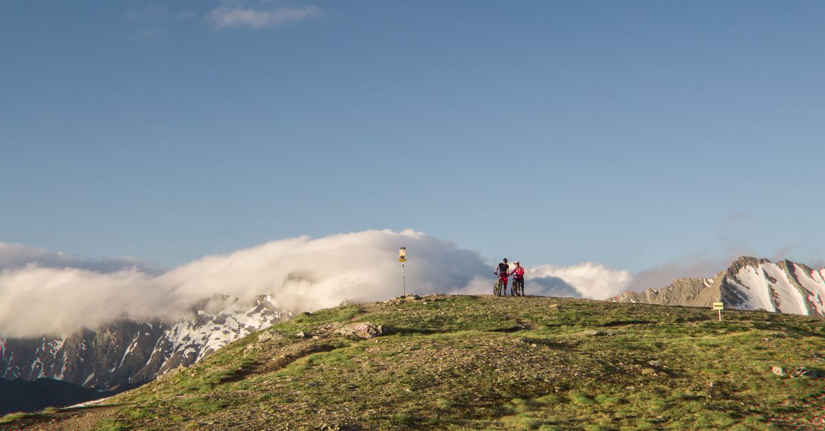 Top of the Mountain koncerty