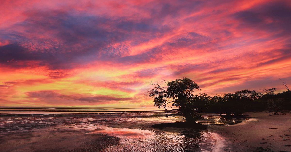 Mindil Beach Sunset Markets