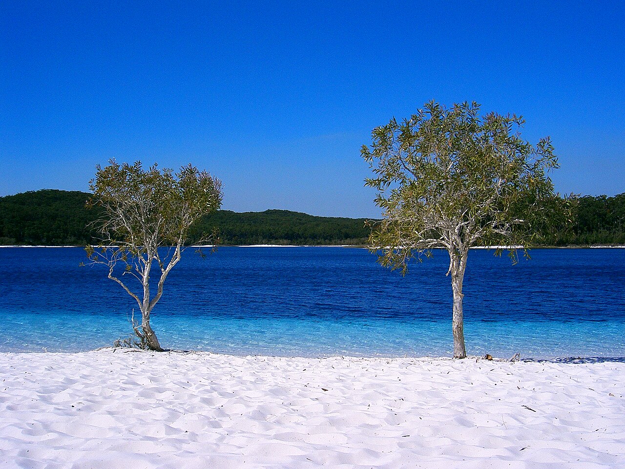 Lake McKenzie i jeziora z wodą pitną