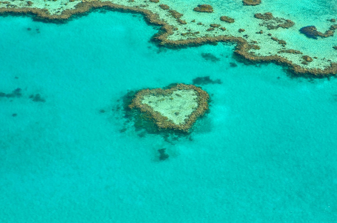 Heart Reef i lot widokowy