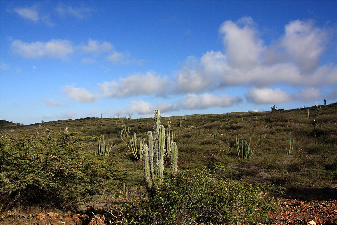 Arikok National Park
