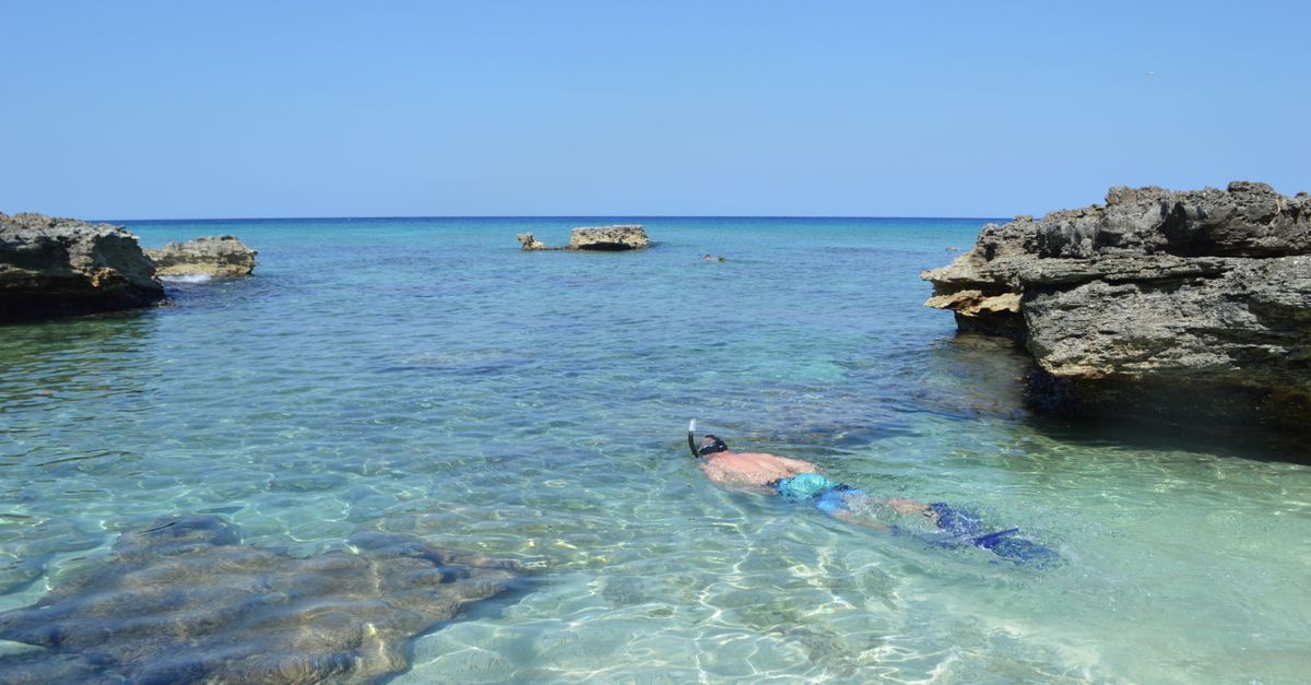 Snorkeling at Baby Beach Reef