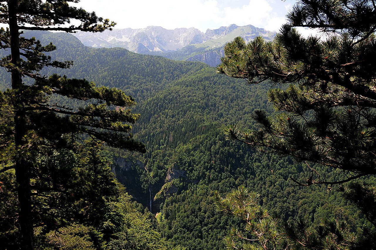 Sutjeska