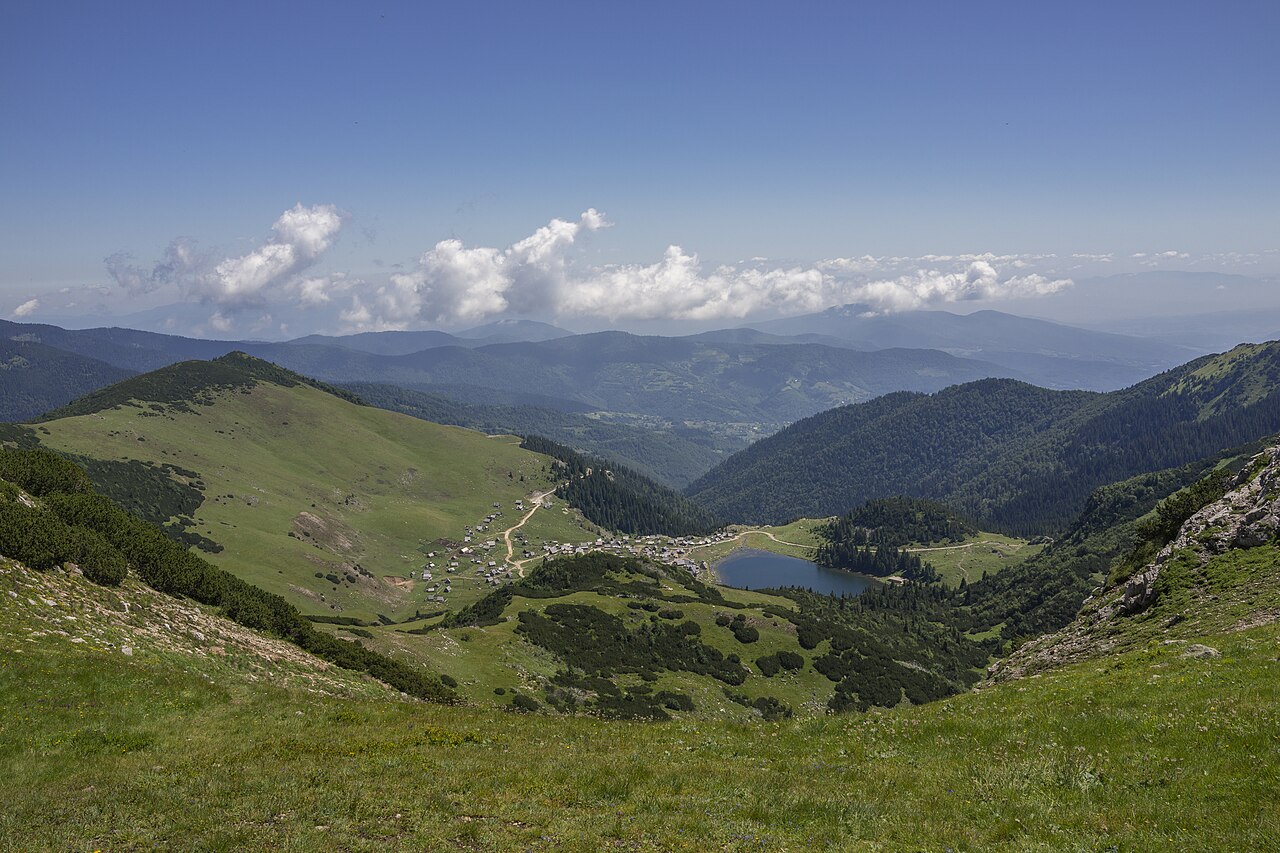 Jezioro Prokoško i traszki