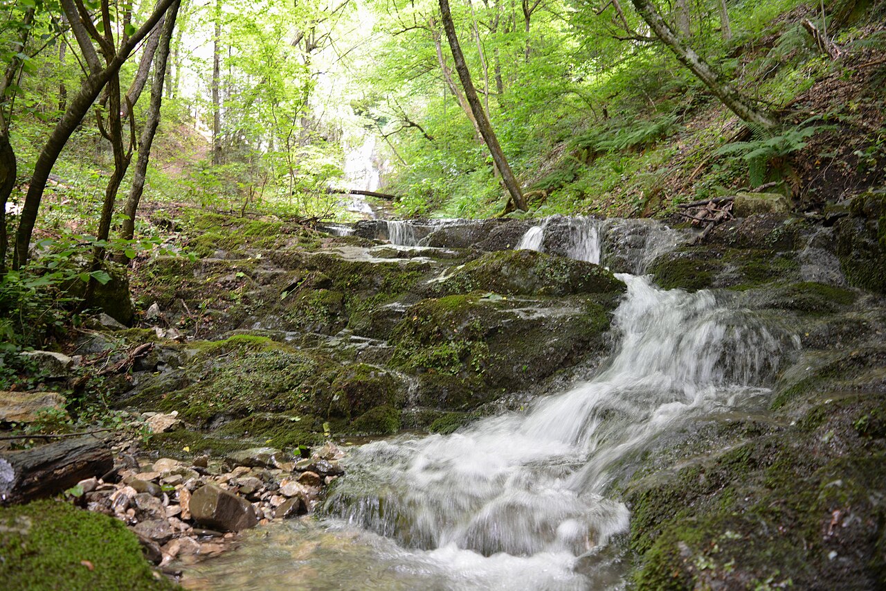 Park Narodowy Kozara