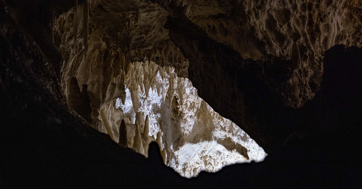 Harrison's Cave