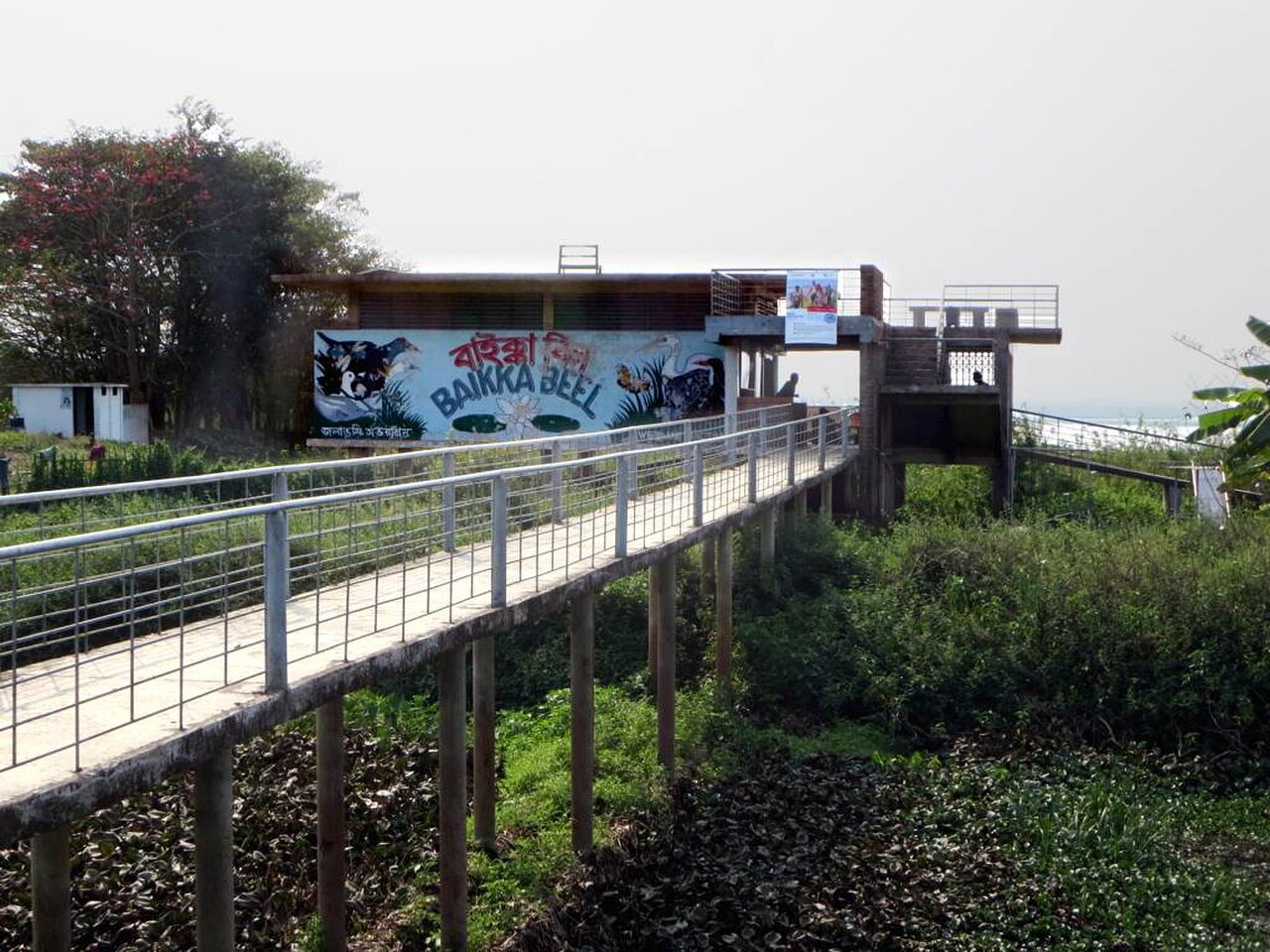 Mokradła Baikka Beel