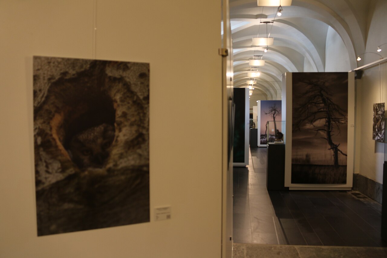 Malmundarium i katedra