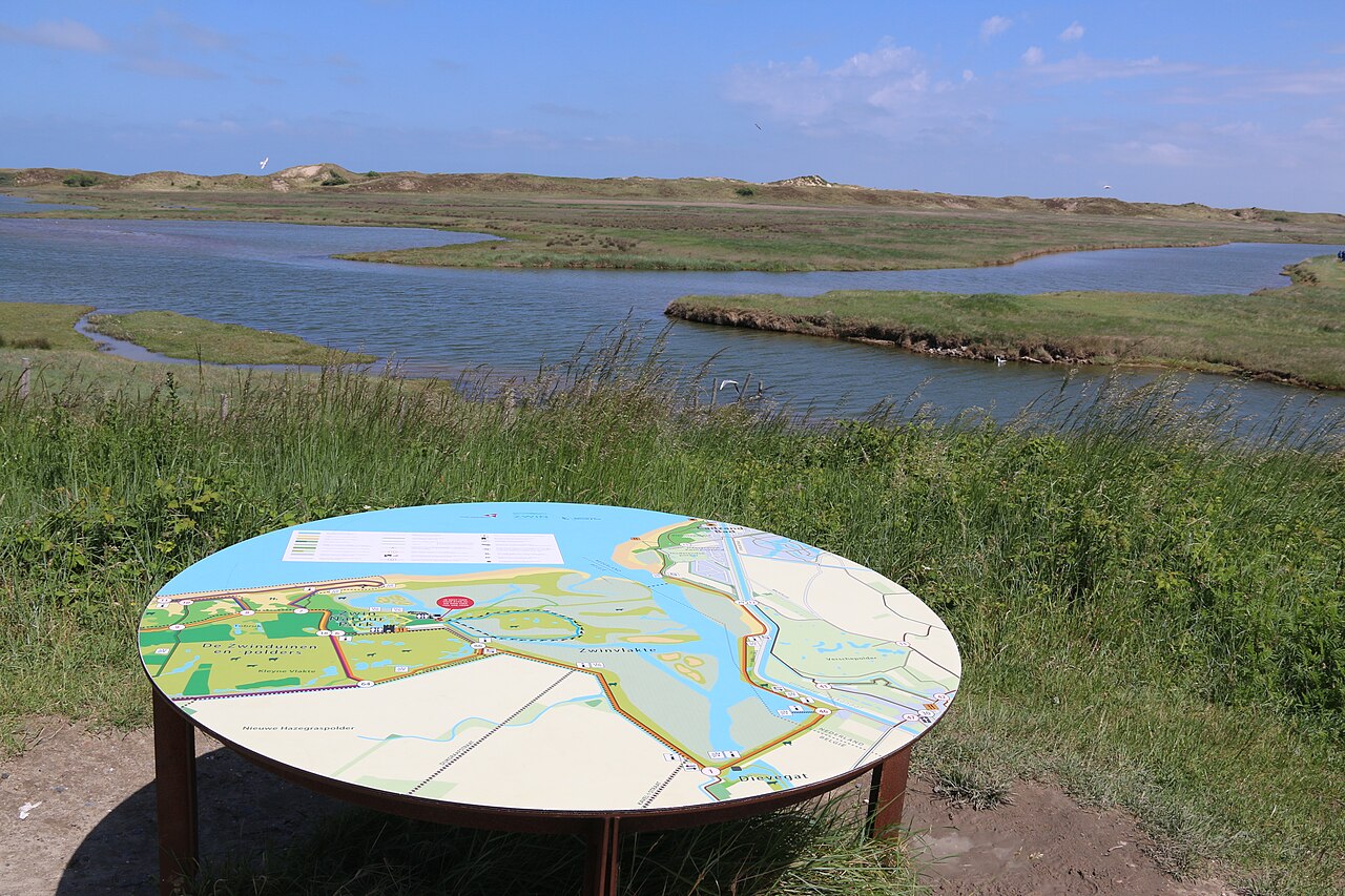 Rezerwat Zwin Natuur Park