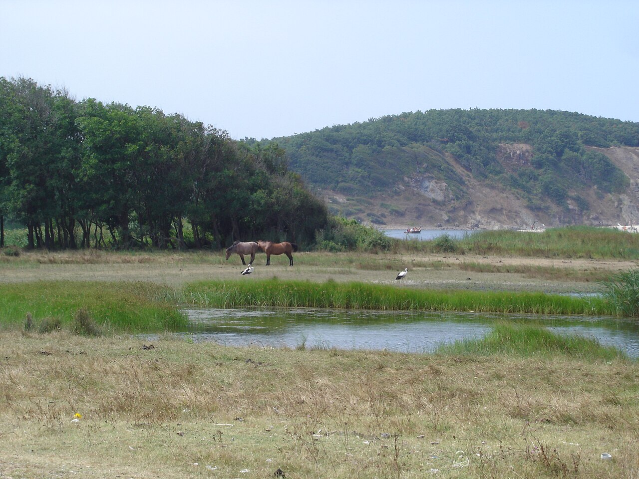 Park Przyrody Strandża