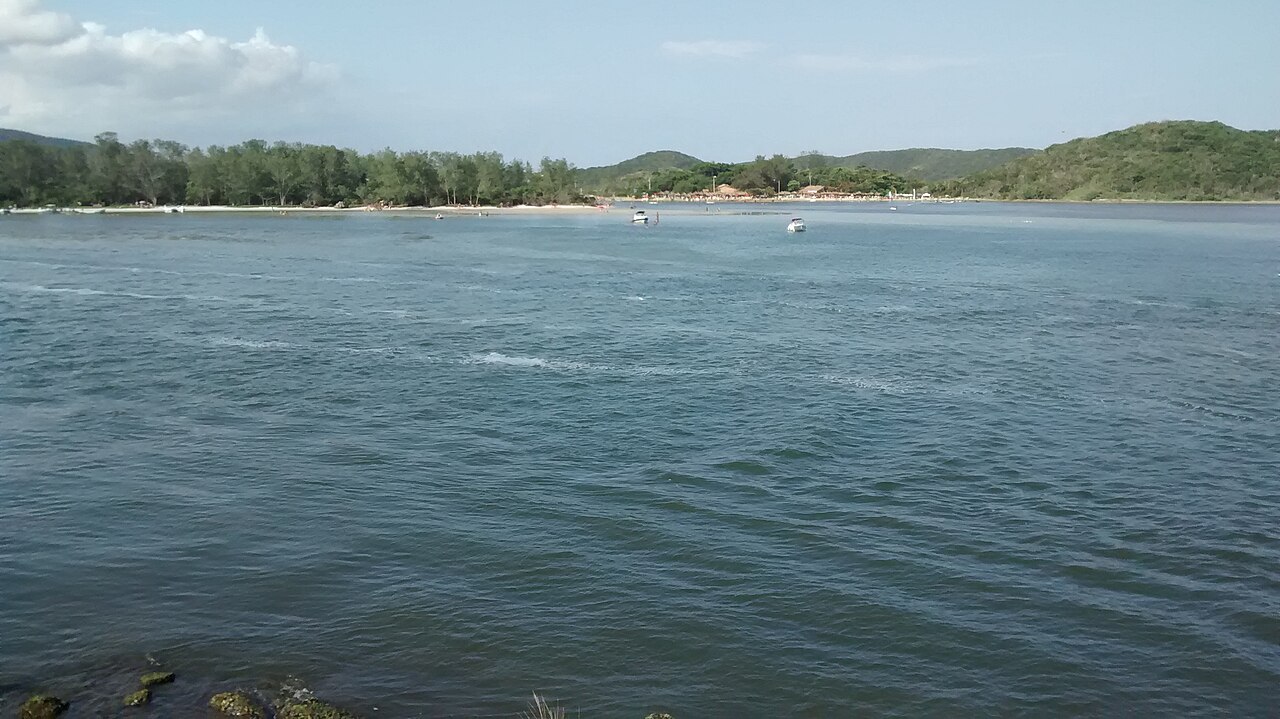 Ilha do Japonês