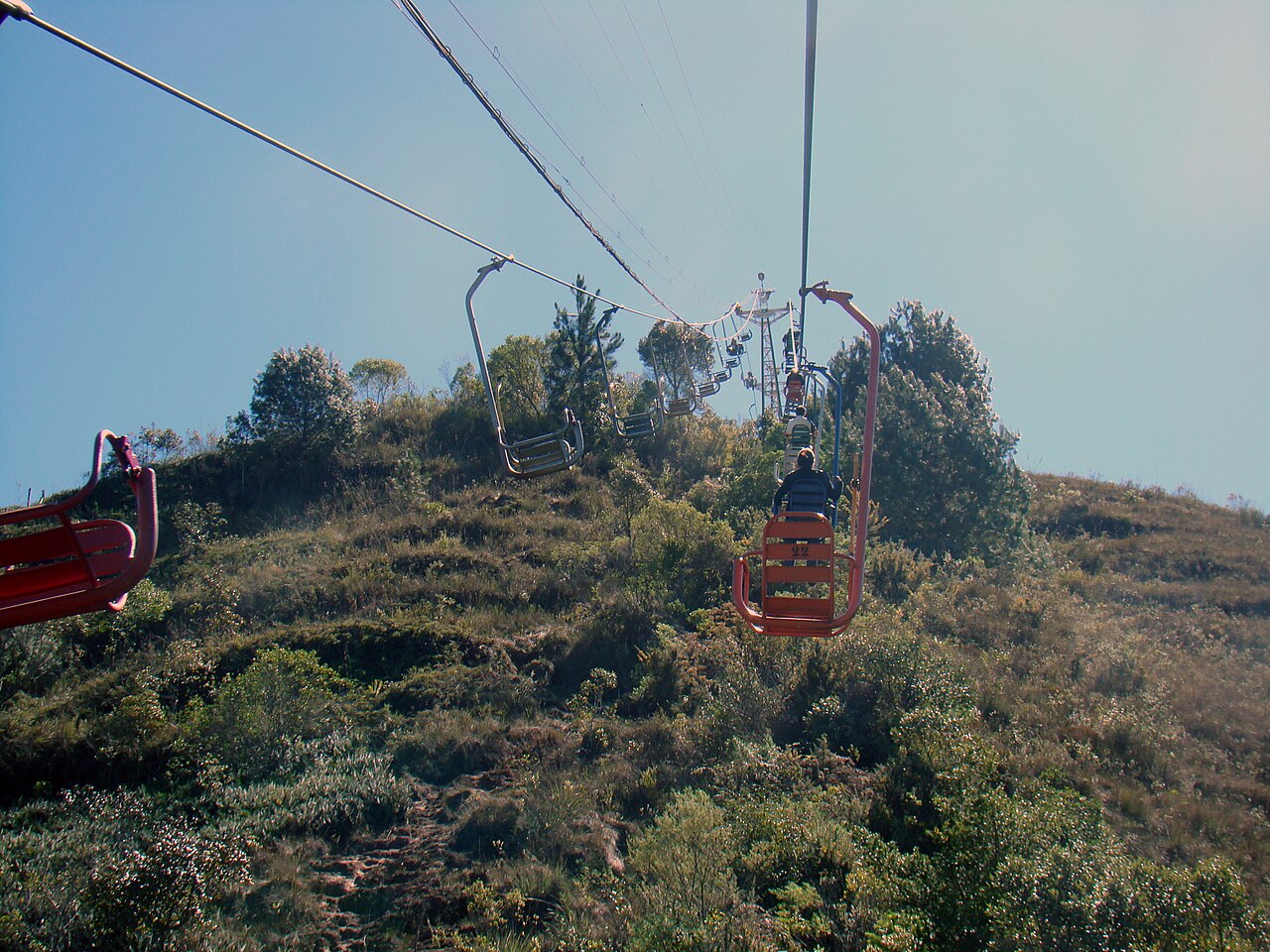 Capivari i kolejka na Morro do Elefante