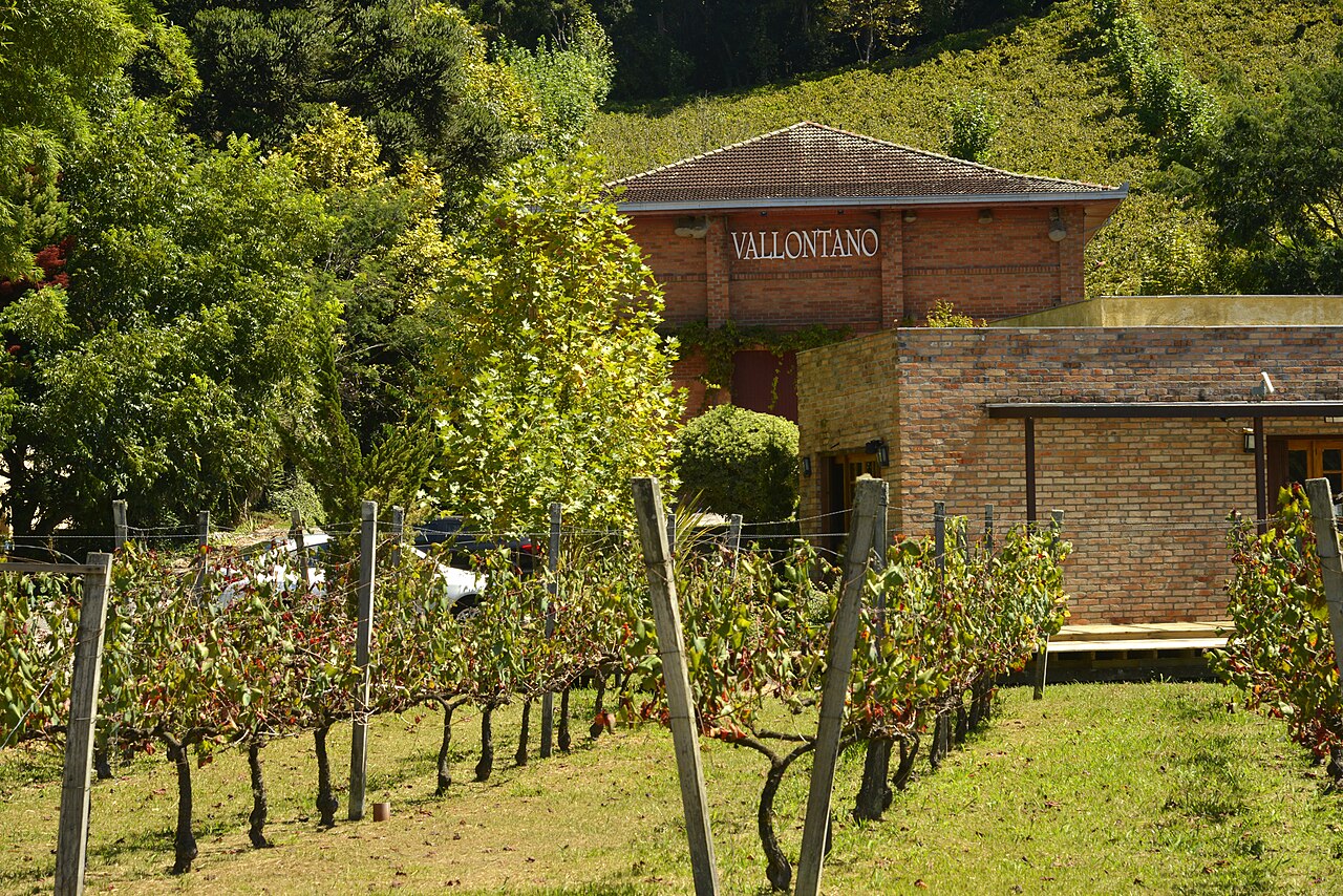 Vale dos Vinhedos