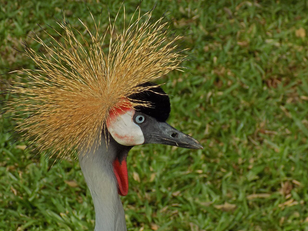 Parque das Aves