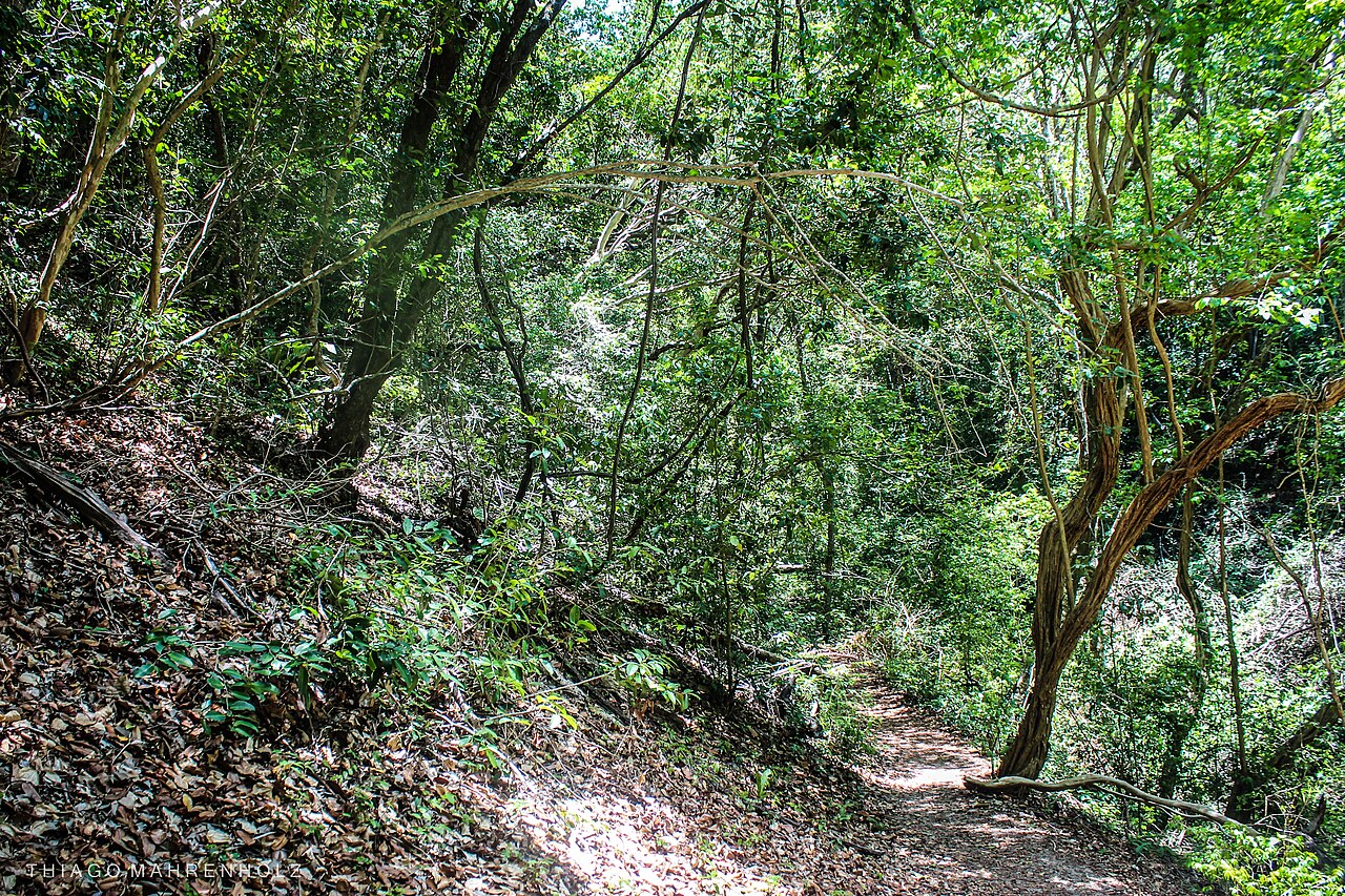 Parque das Dunas