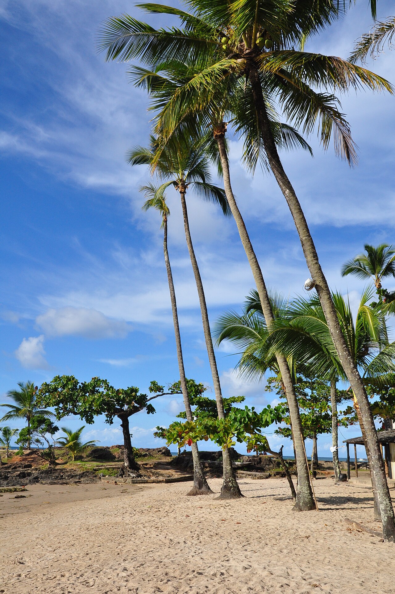 Praia da Concha