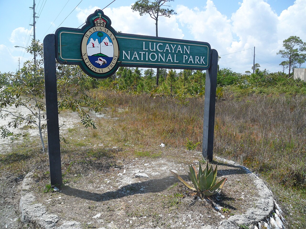 Park Narodowy Lucayan