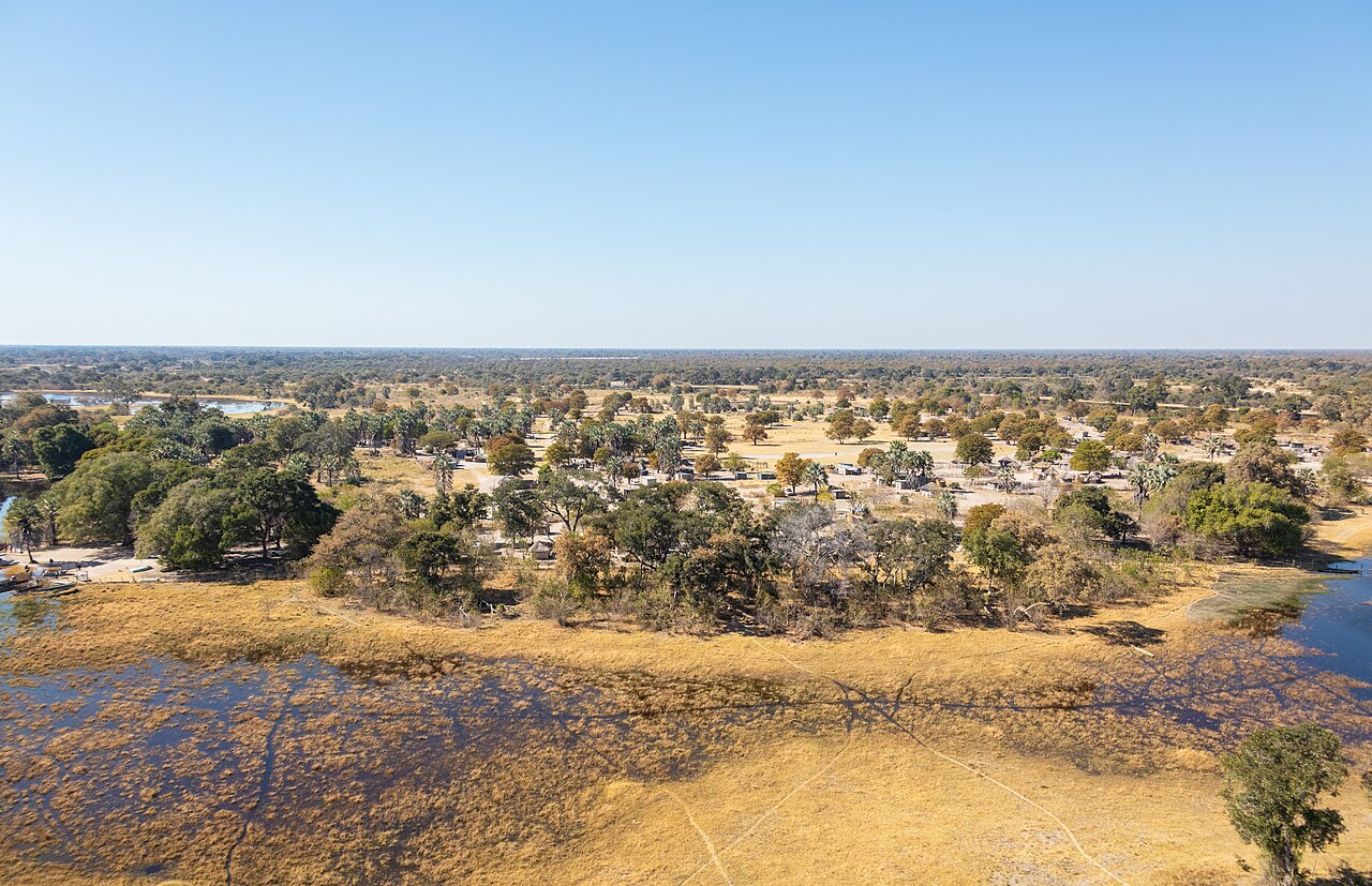 Delta Okawango