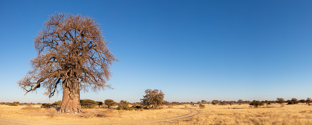 Makgadikgadi