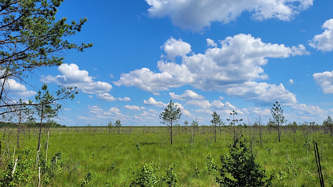 Prypeciański Park Narodowy