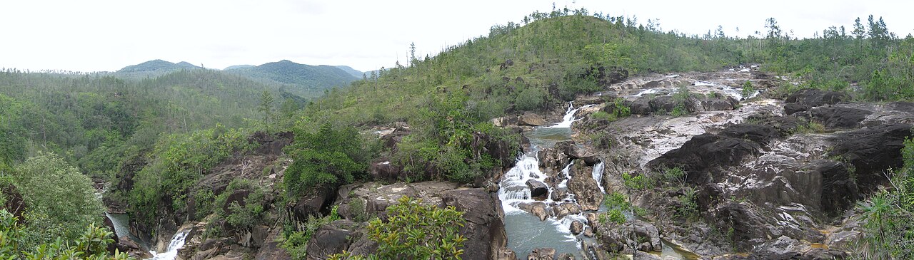 Mountain Pine Ridge Forest Reserve