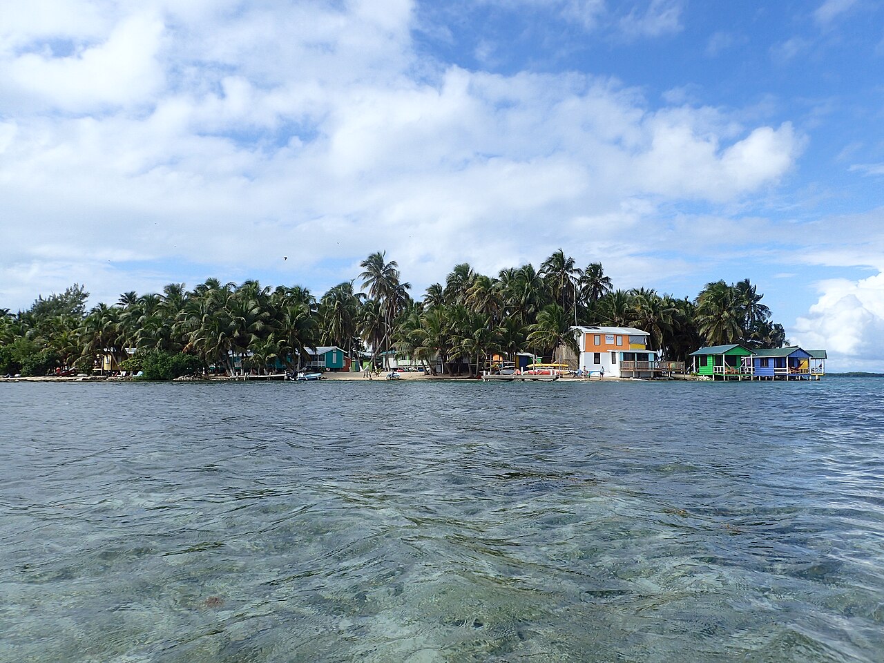 Snorkeling przy brzegu Tobacco Caye