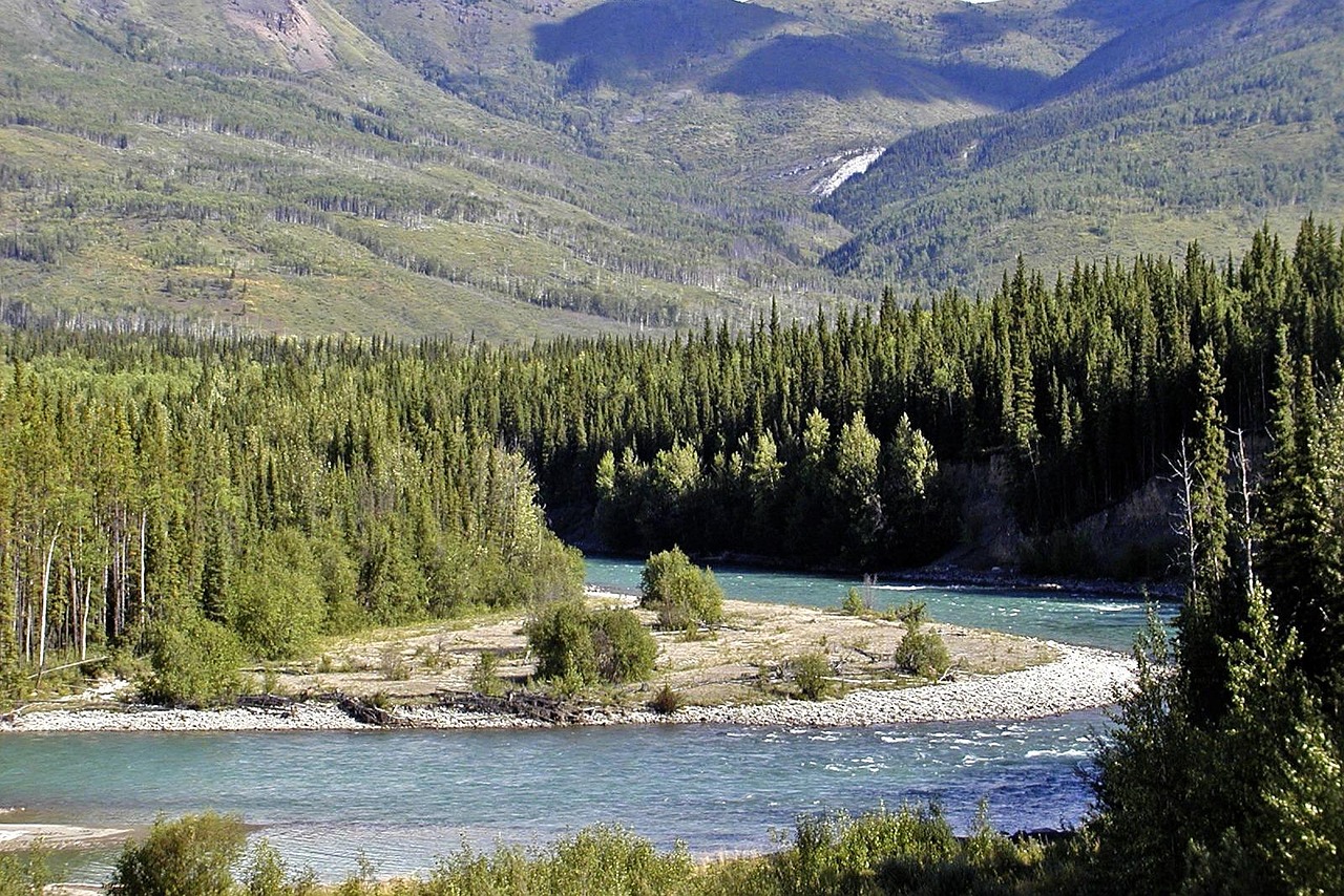 Spływ rzeką Yukon