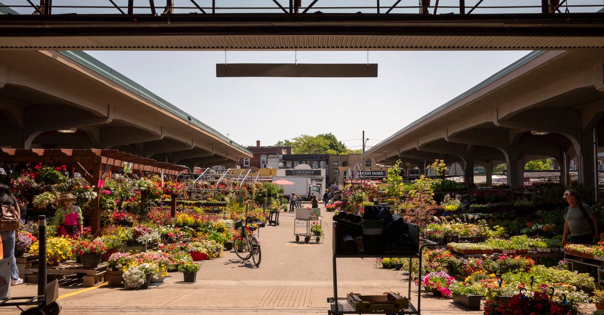 Targ Jean-Talon