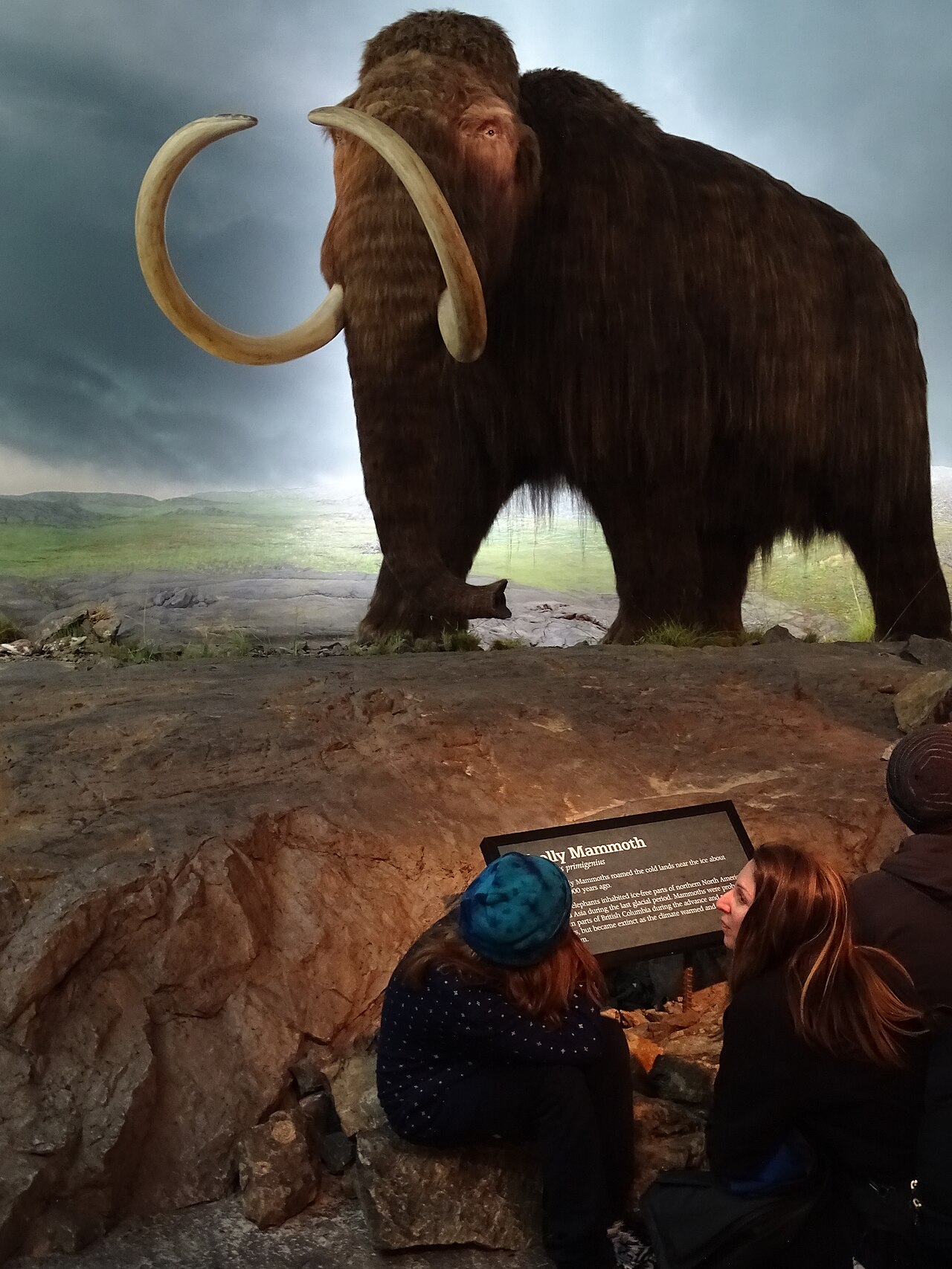 Królewskie Muzeum Kolumbii Brytyjskiej