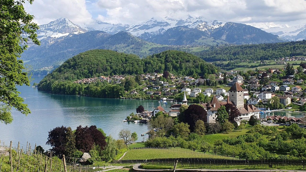 Winnice nad jeziorem w Spiez