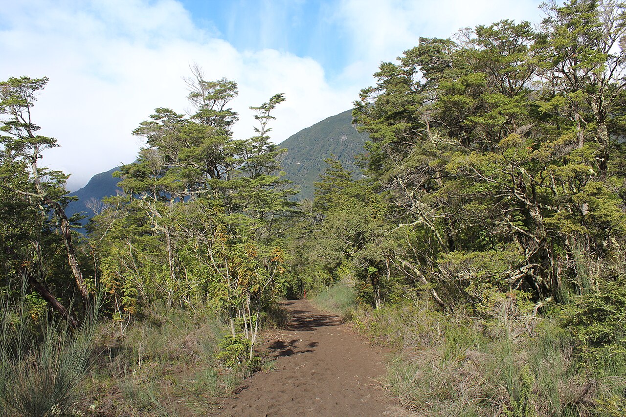 Sendero Desolación