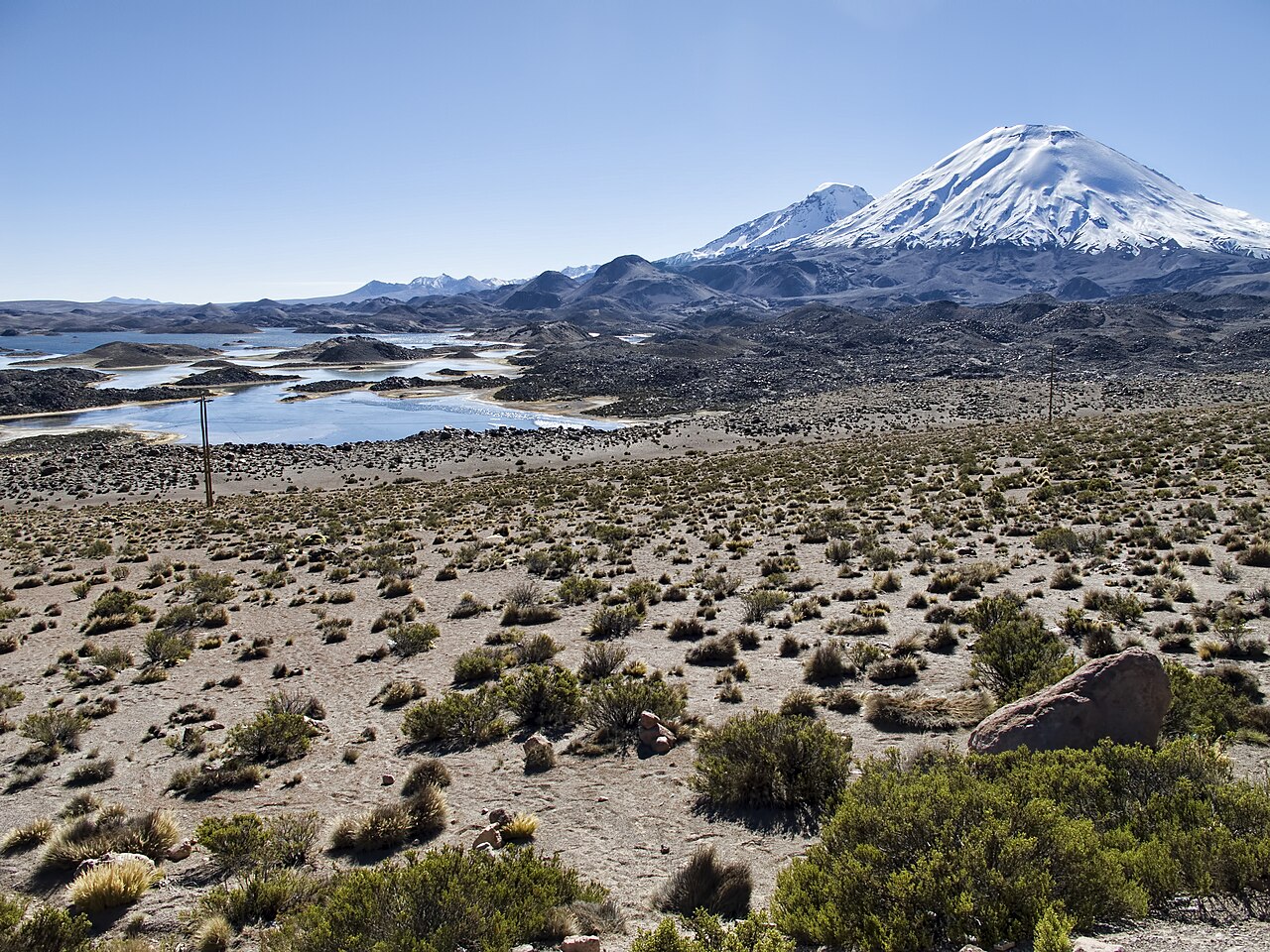 Lagunas Cotacotani i llareta