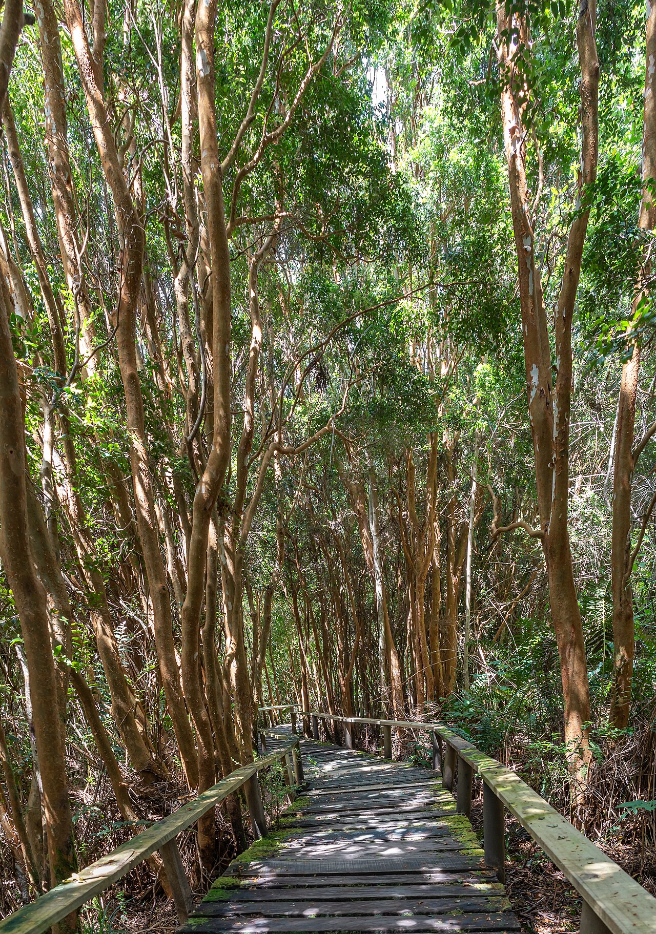 Park Narodowy Chiloé