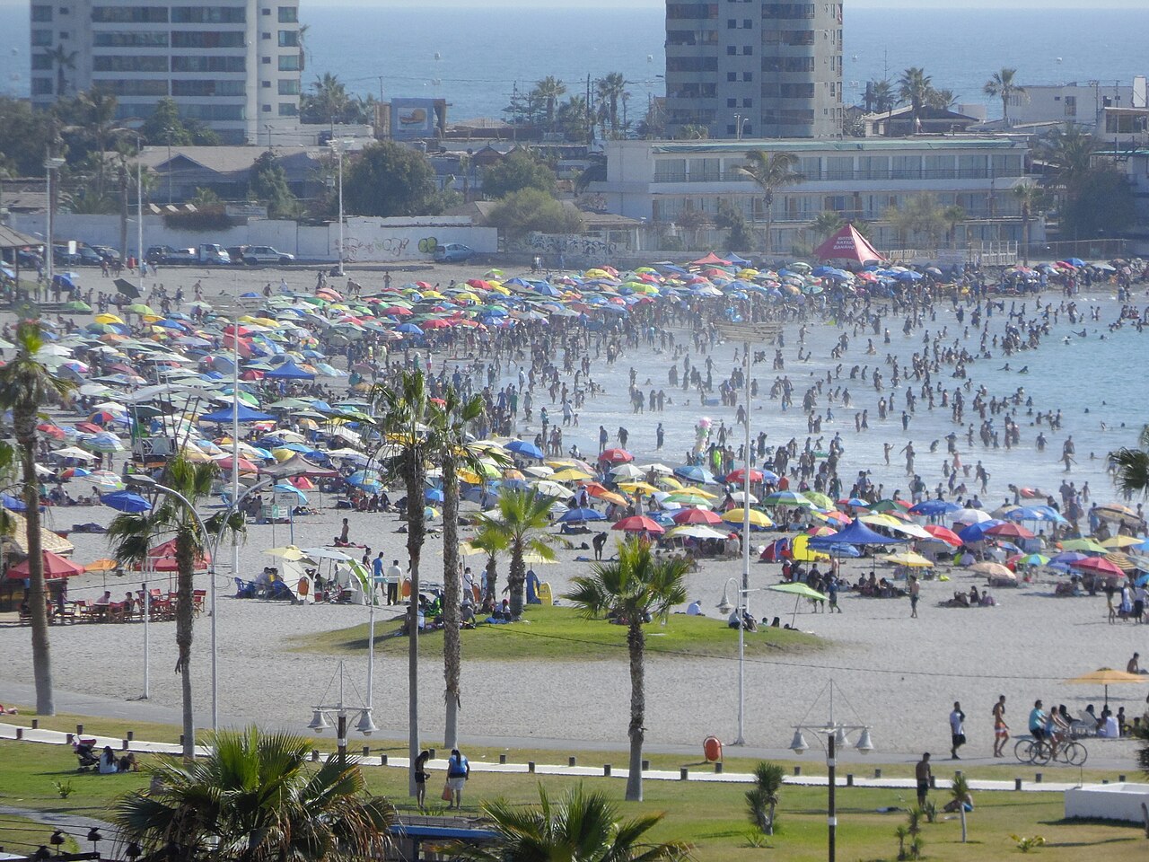 Playa Cavancha i klif
