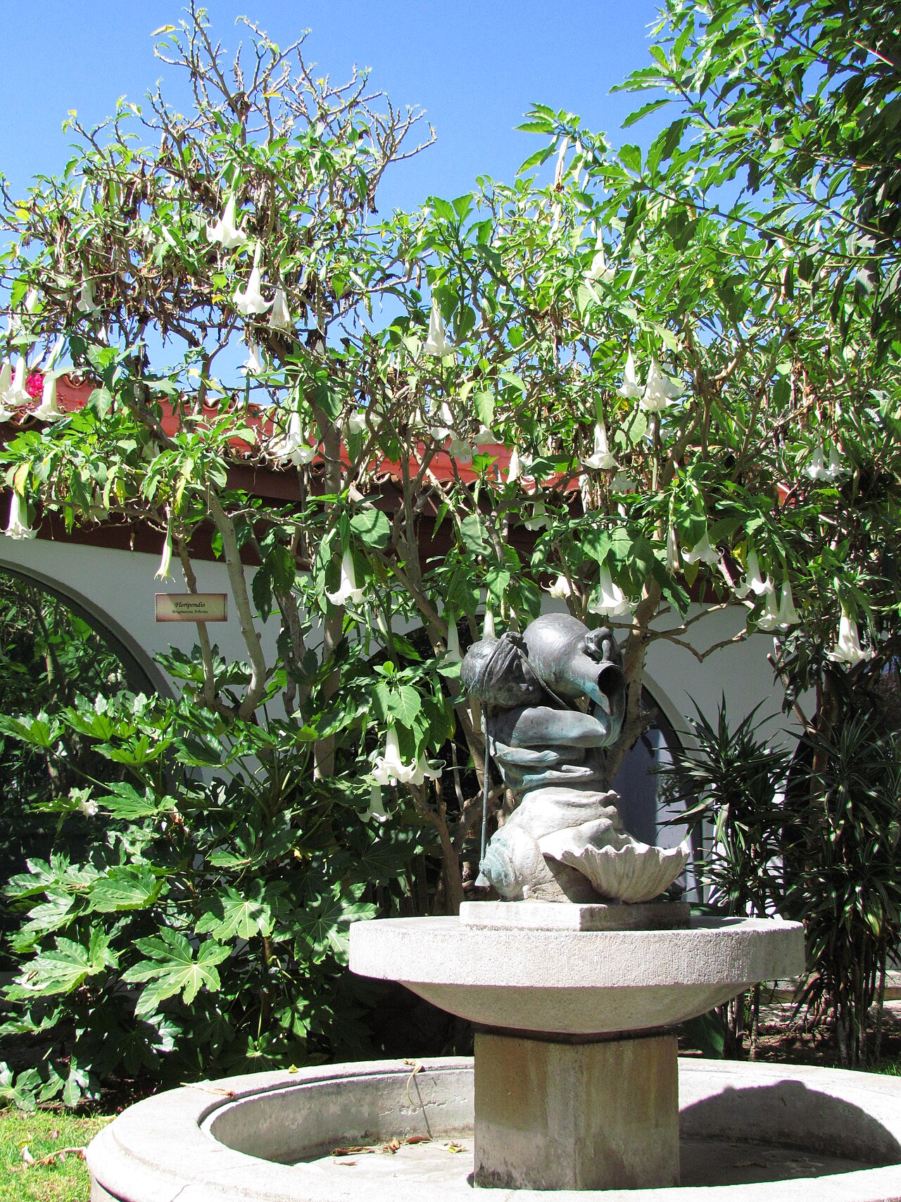 Muzeum Arqueológico