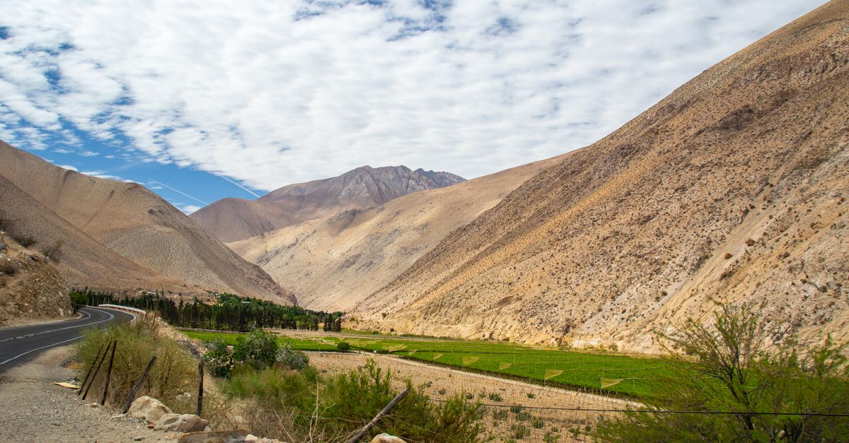 Wycieczka do Doliny Elqui