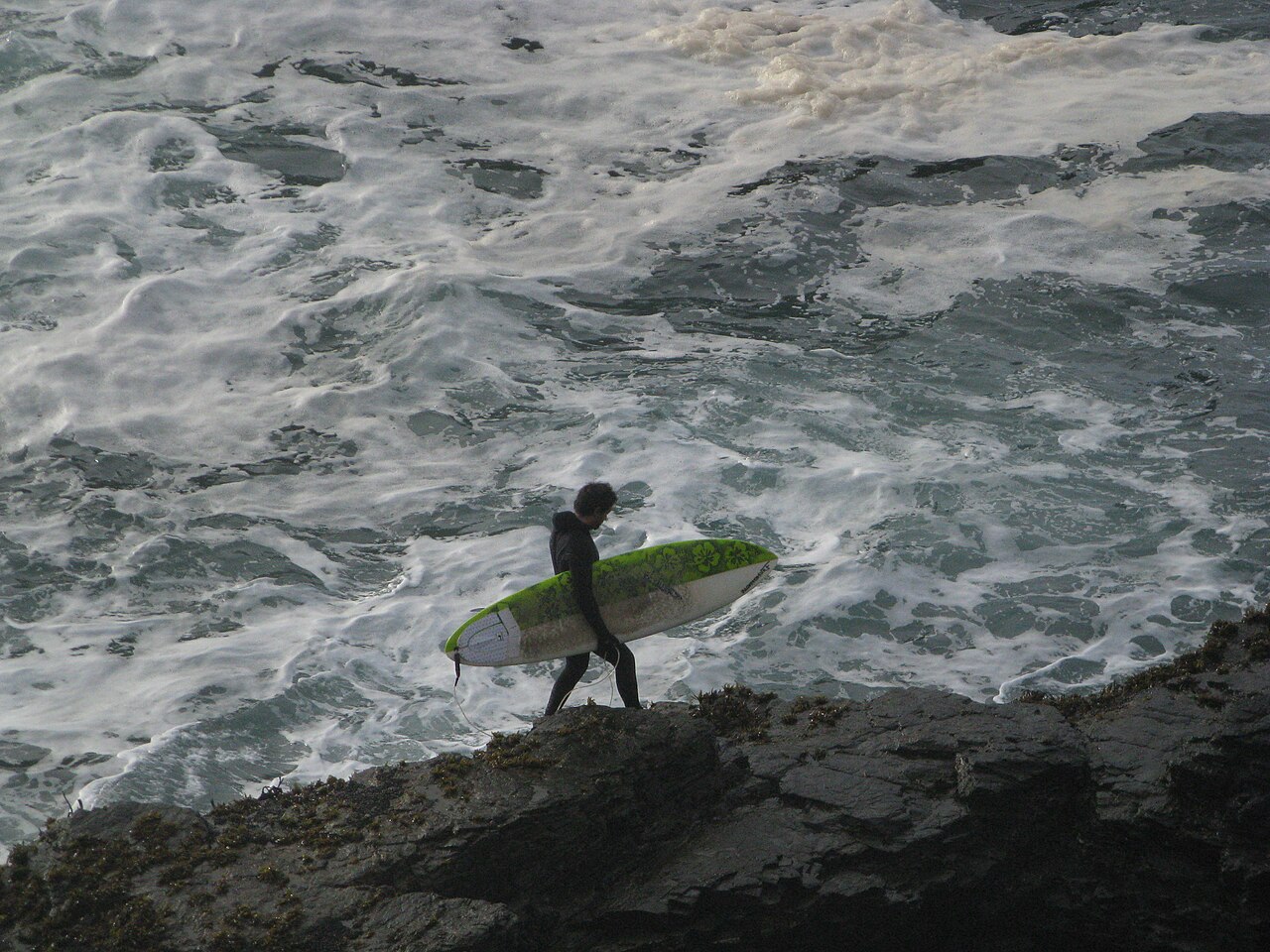 Punta de Lobos