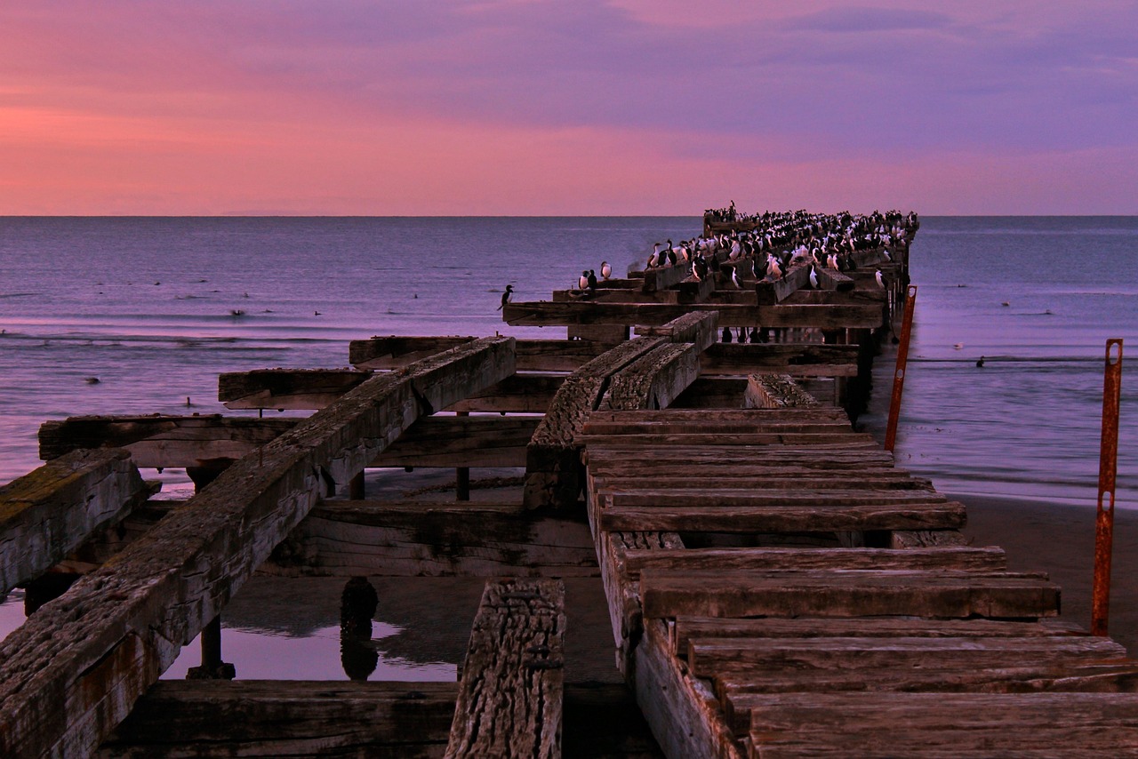 Costanera i foki na molo