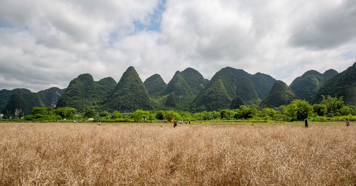 Moon Hill