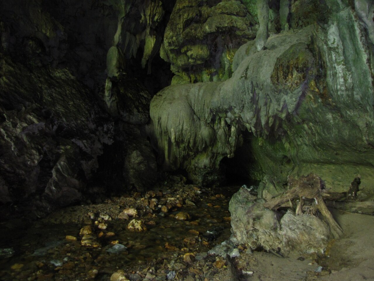 Caverna de los Guácharos