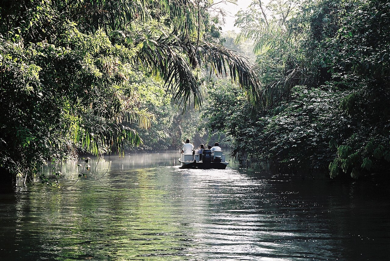 Kanały Tortuguero
