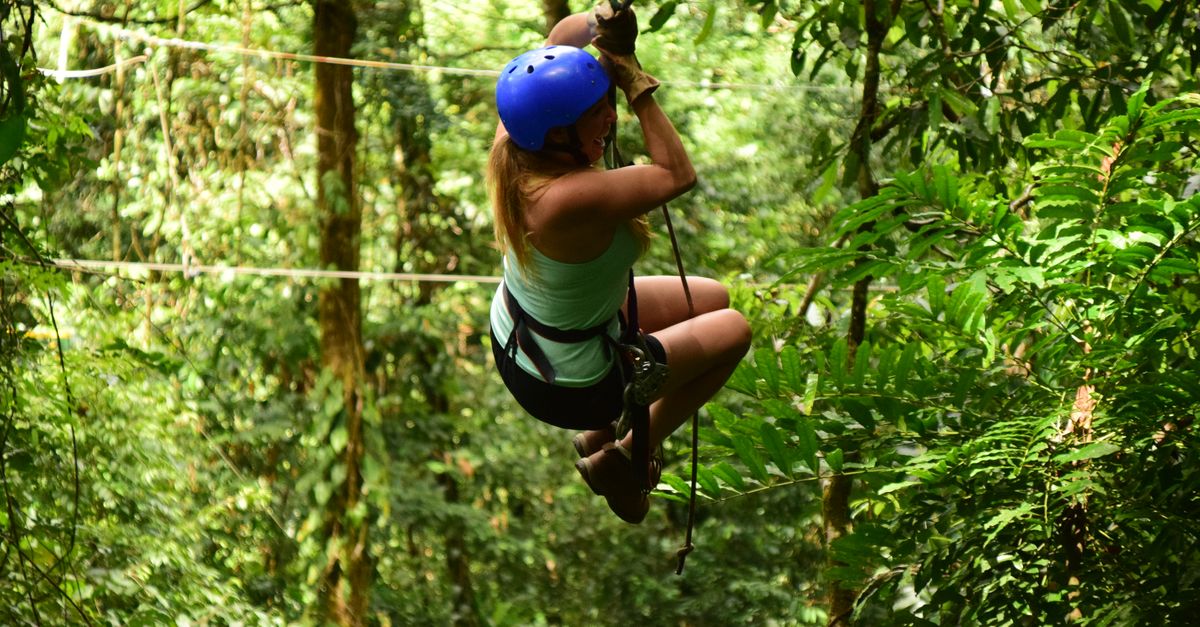 Canopy i zip-line