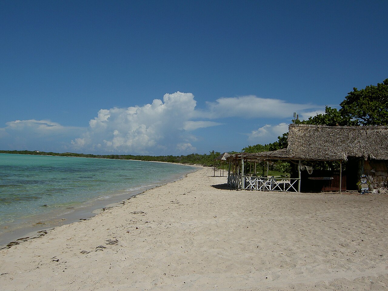 Plaże Cayo Coco